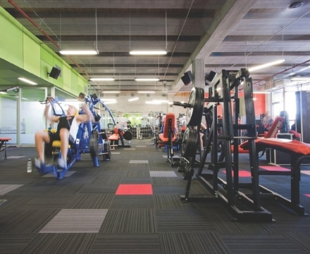 Body Tech, Newmarket Body Tech, Newmarket
